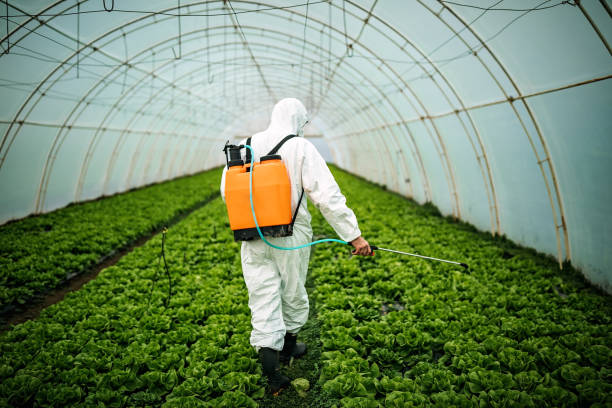 Best Pest Inspection Near Me  in Thomasville, GA