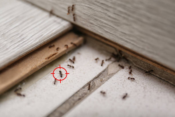 Best Commercial Pest Control Services  in Thomasville, GA
