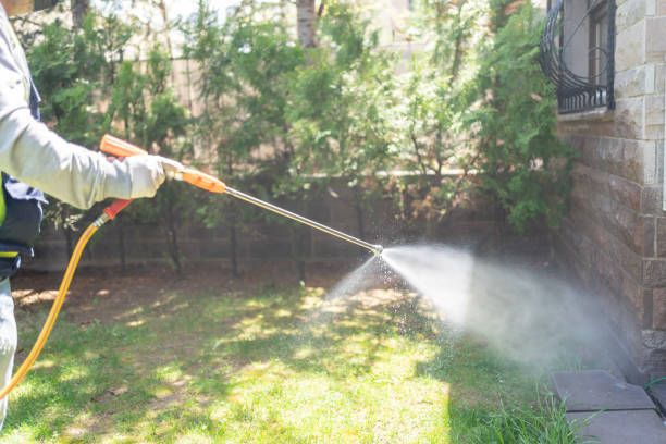 Best Local Pest Control Services  in Thomasville, GA