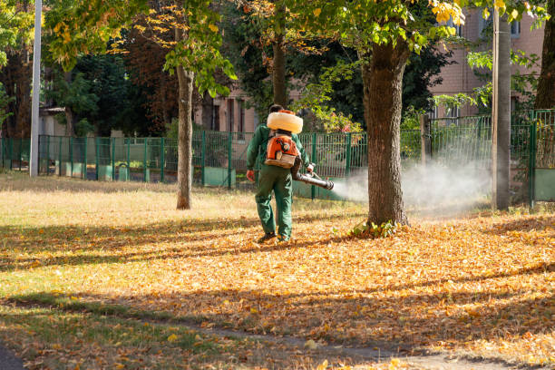 Best Bed Bug Extermination  in Thomasville, GA