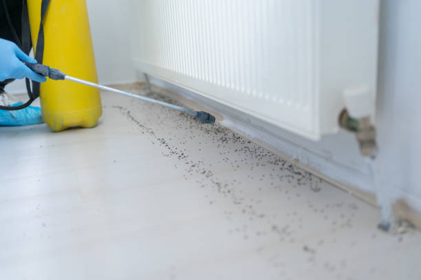 Professional Pest Control in Thomasville, GA
